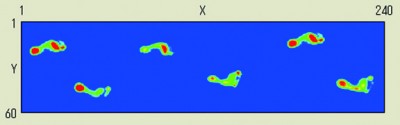 ウォークWay　計測画面